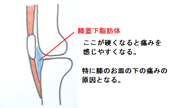 しぼうたい無題.png