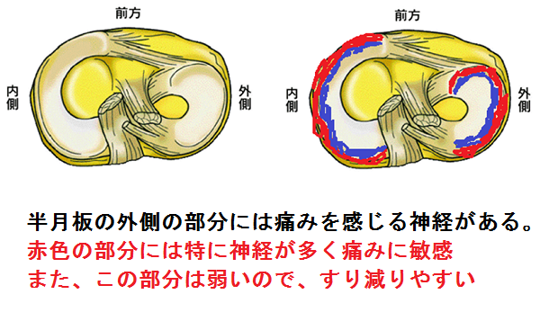 はんげつ無題.png
