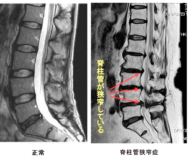 無題図014 (2) - コピー-1.png