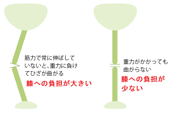 膝２無題.png
