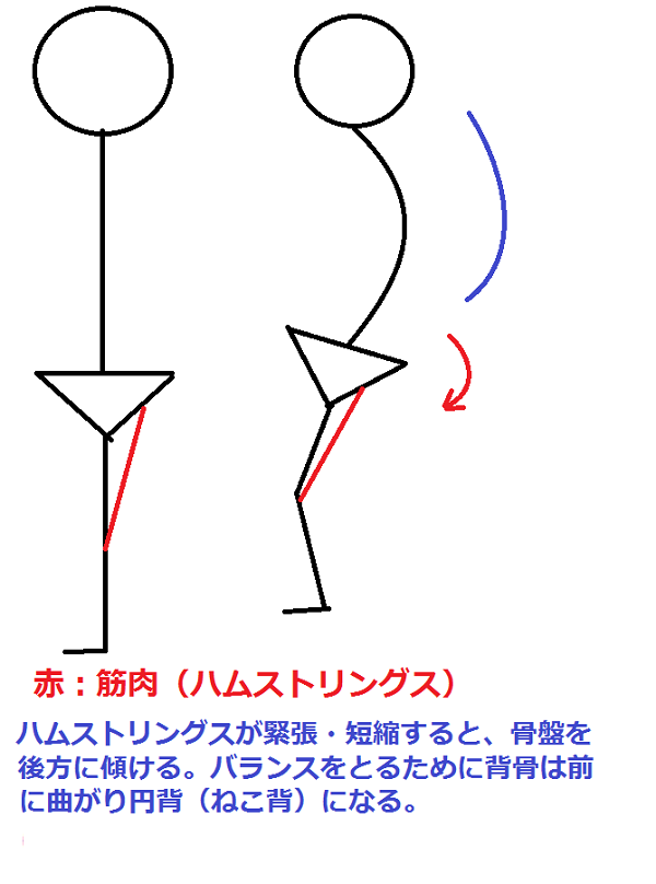 z006.png